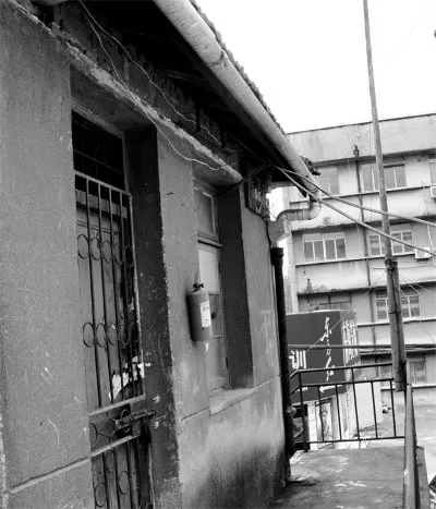 1989,Scient Institute Initial 1989,Scient Institute Initial