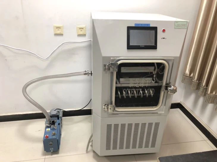 Commercial Food Freeze Dryer For Vegetable
