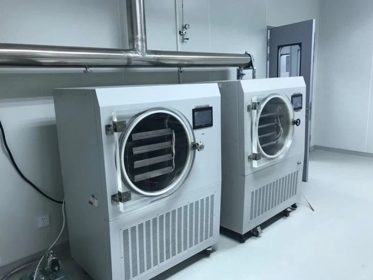 Hot Export Freeze Dryer Vacuum