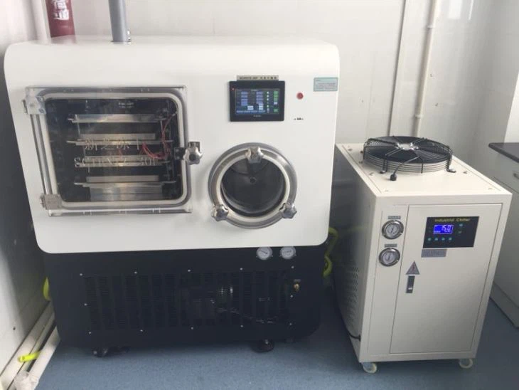 Freeze Dryer For Fruits