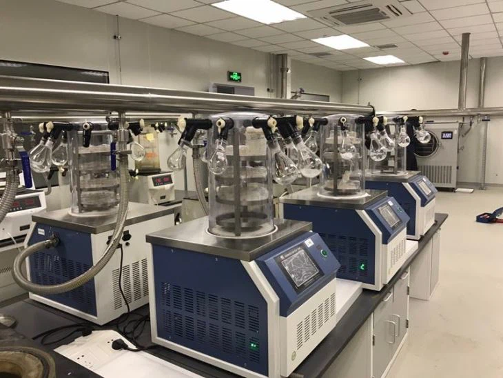 vacuum mini food freeze dryer for sale