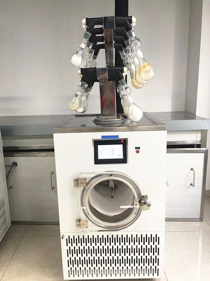 Cryogenic freeze dryer