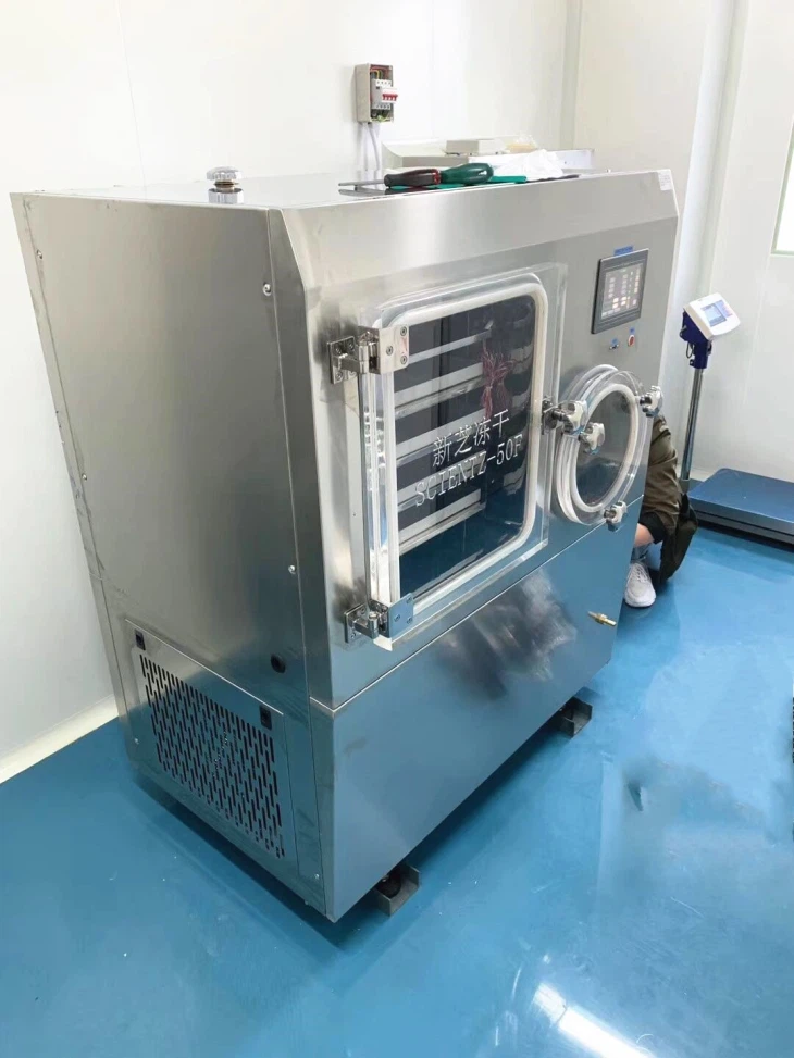 Strawberry Vacuum Freeze Dryer